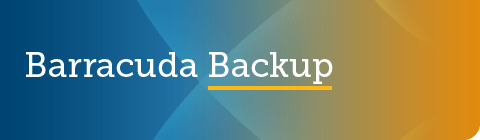 Barracuda Backup 6.5.04 GA リリース のページ写真 1